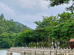 -顺峰山公园