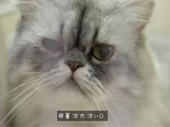 -藦茜花园宠物主题亲子互动体验馆(国顺东路店)
