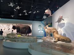 -中国湿地博物馆