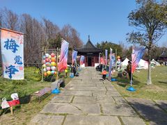 -上海海湾国家森林公园