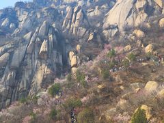 -北京凤凰岭