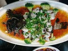-星龙海鲜(望江东路店)