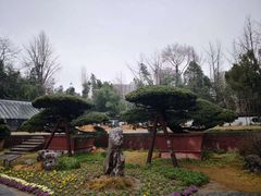 -水绘园