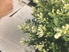 -milkplus·泰式奶茶(较场东路店)