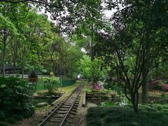 -上海共青森林公园