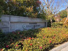 -上海崇明金茂凯悦酒店