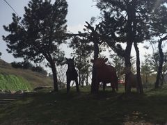 -车溪民俗旅游区