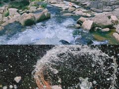 -雅鲁激流探险漂流