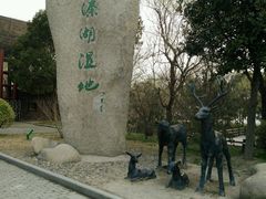 -溱湖国家湿地公园