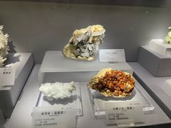 -湖南省地质博物馆