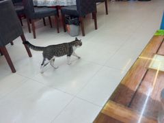 -鑫鸿达·海鲜闽菜热炒小馆(中山路店)