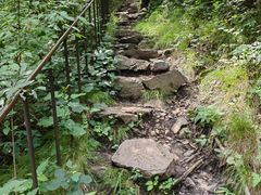 -云岫谷游猎自然风景区