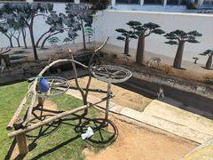 -西霞口神雕山野生动物世界