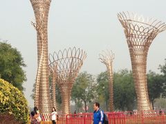 -武清南湖绿博园