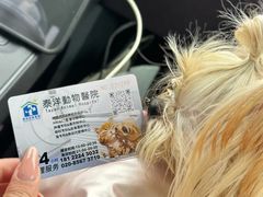 -泰洋动物医院·神经专科·磁共振·CT(天河公园总院)