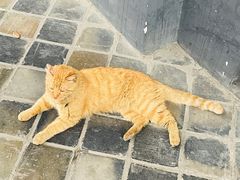 -平安桥天主教堂