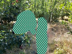 -万源龙顺度假庄园生态观光园