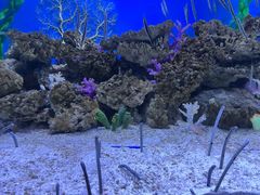 -成都浩海立方海洋公园
