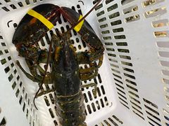 -范饭椰林川湘味海鲜·椰子鸡(三亚湾椰梦长廊店)