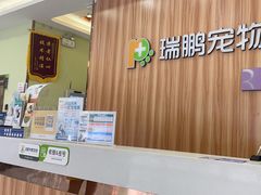 -瑞鹏宠物医院·骨科·猫科·内科(第一中心)