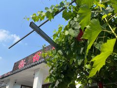 -钰田大院·怀柔地道农家菜·烤虹鳟鱼(雁栖湖店)