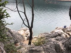 -千岛湖东南湖区