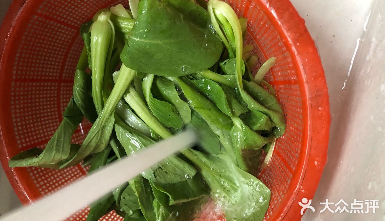 谁都会做的炒青菜就是这么简单