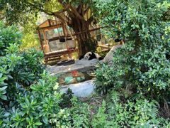 -泉州海丝野生动物世界