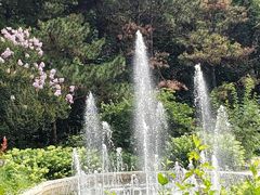 -燕塞湖鸟语林景区