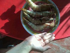 -灯笼馆海鲜餐厅