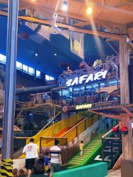 -卡通尼·Safari非洲探索乐园·生日会(金桥国际商业广场店)