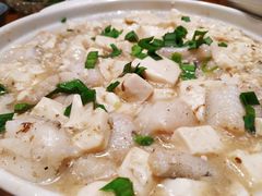 豆腐九肚鱼-三两春肚肺汤(崂山路店)