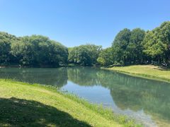 -贡湖湾湿地公园