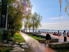 -丁香湖公园