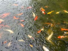 -珠海圆明新园