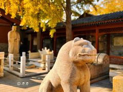 -北京石刻艺术博物馆(五塔寺)