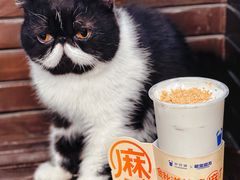 -茶百道(春熙路银石广场店)