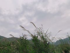 -土城古镇