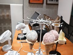 -野人先生现做冰淇淋(北京环宇荟店)