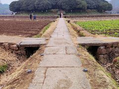 -八卦田遗址公园