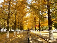 -辽东学院(南校区)