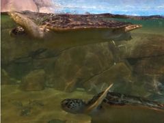 -福州罗源湾海洋世界旅游区