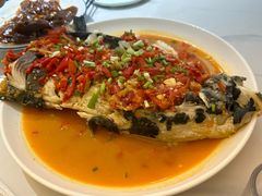 -全乐鱼馆·淳牌有机鱼直营店