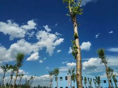 -北戴河圣蓝海洋公园