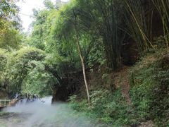 -川西竹海景区