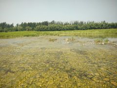-淇河金沙滩