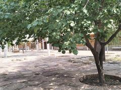 -黄沙古渡原生态旅游区