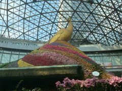 -花之城