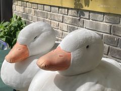 -三忘湖 SWANSEEN(柳荫公园店)