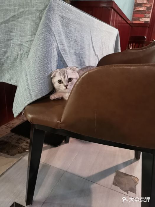 黑石剧情密室逃脱(海尚海店)图片 - 第4张